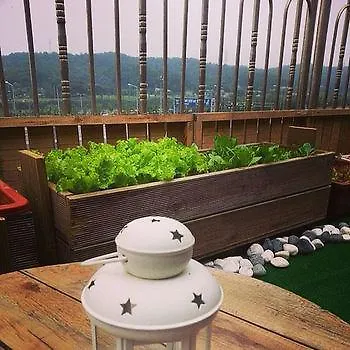 Budget Guesthouse Incheon 2*,  South Korea